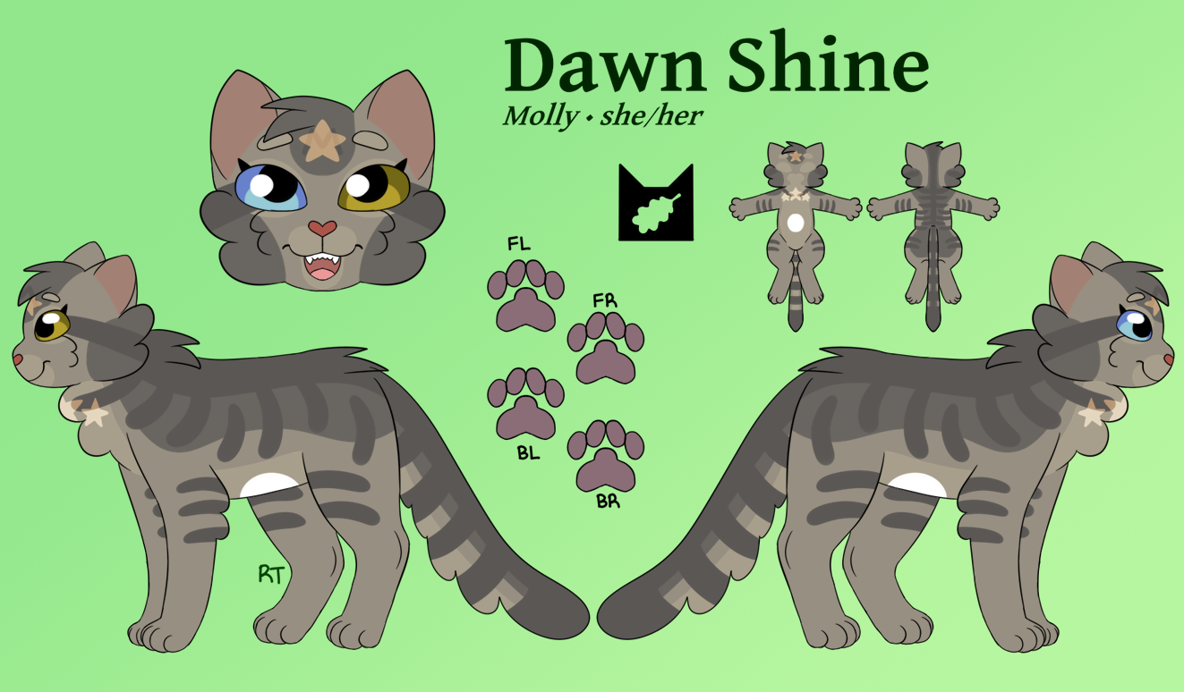 Dawn Shine