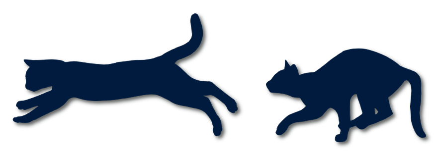 Cat silhouettes running