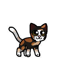 Feather Pelt